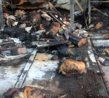 Lettera aperta al Sindaco di San Giorgio del Sannio: “Dopo 2 mesi esatti dall’incendio del capannone Barletta, perché non è stata bonificata la zona? E’ stato accertato il livello di inquinamento procurato agli abitanti di Cesine e ai terreni?”