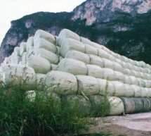 Bassolino rinviato a giudizio per la perenne emergenza rifiuti