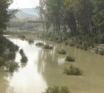 Il fiume ha inondato il Parco di Cellarulo e i reperti archeologici. Gravissime le responsabilità delll’Amministrazione Comunale.