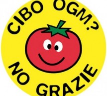 Federica Ferrario di Greenpeace: “la patata Ogm è un pericolo per la salute dei cittadini”