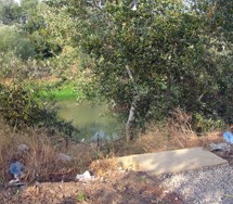 Commento al Convegno “Fiume Calore e ambiente urbano”