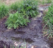 Sequestrata la discarica di Piano Borea. Adesso Lonardo finisce di fare lo spiritoso.