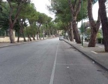 Taglio dei pini del viale Atlantici, non esiste la perizia della Regione Campania