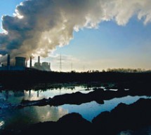 La Terra consumata da 50 milioni di ciccioni a danno di 6 miliardi di persone.